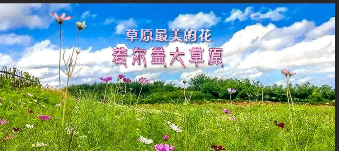 ��D5-�����w��ԭ