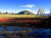 ֱ�w��������������p�w��Ʒ������