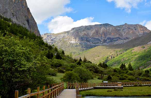 ���ǁ����������w�����w���������β����CƱ�����o�������۶�ɽ��ţ�̺����廨���Ⱦ��c��ȫ����ס�˜��g