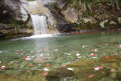 �p����L���^